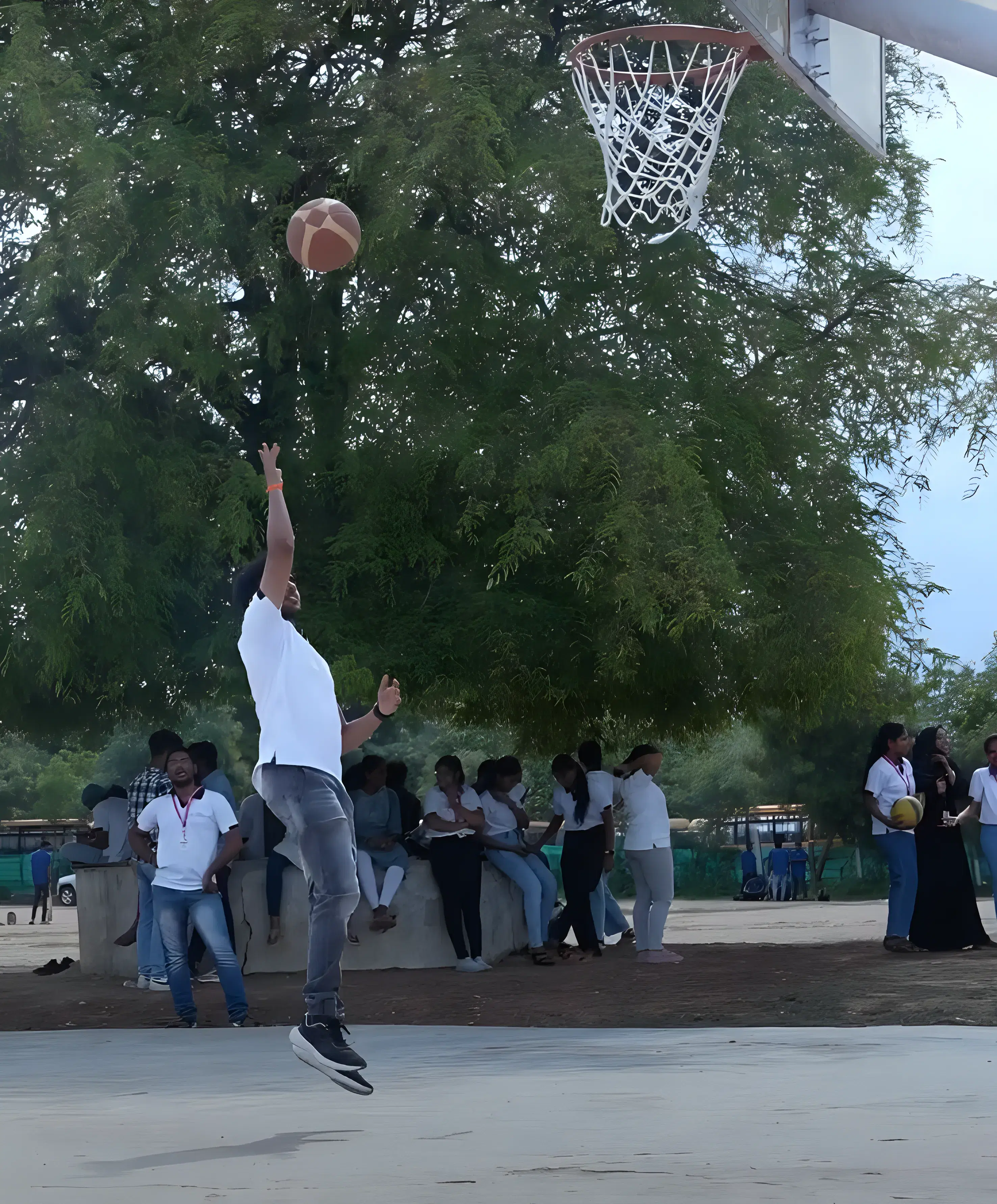 Vishwa Vishwani Institute of Systems and Management Hyderabad sports area photo 2